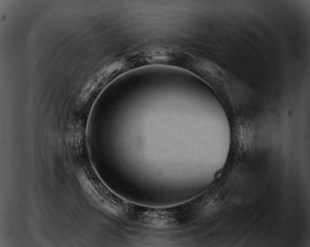 X0000051860367200507012346