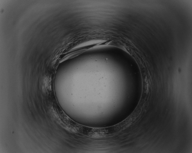 X0000051860368200507012346