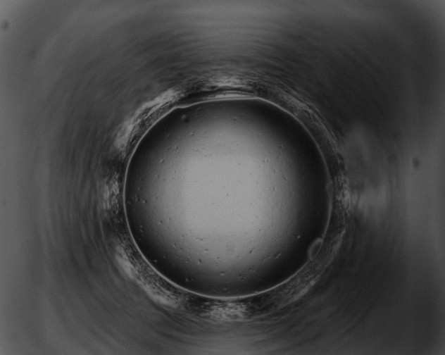 X0000051860369200507012346