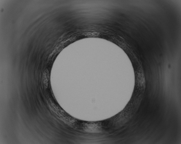 X0000051860370200507012346