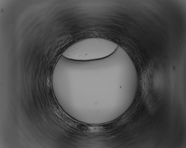 X0000051860371200507012346