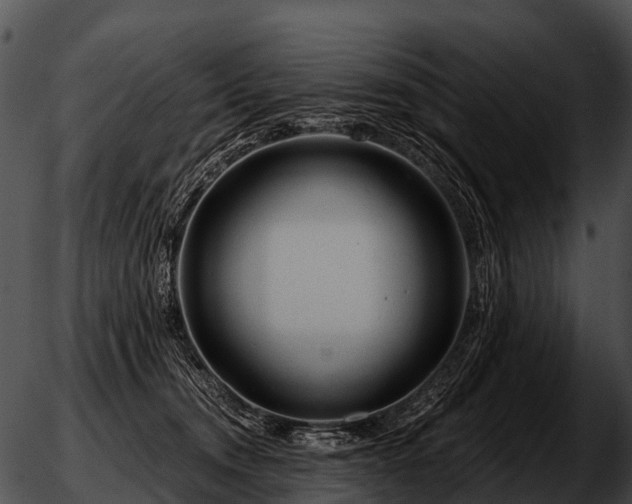 X0000051860372200507012346