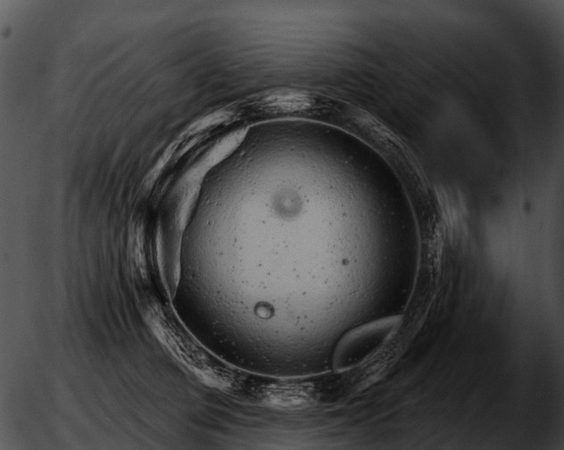 X0000051860373200507012346