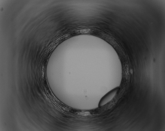 X0000051860374200507012346