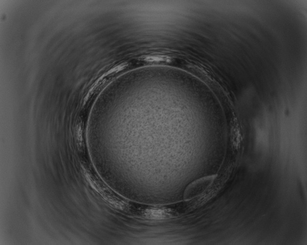 X0000051860375200507012346