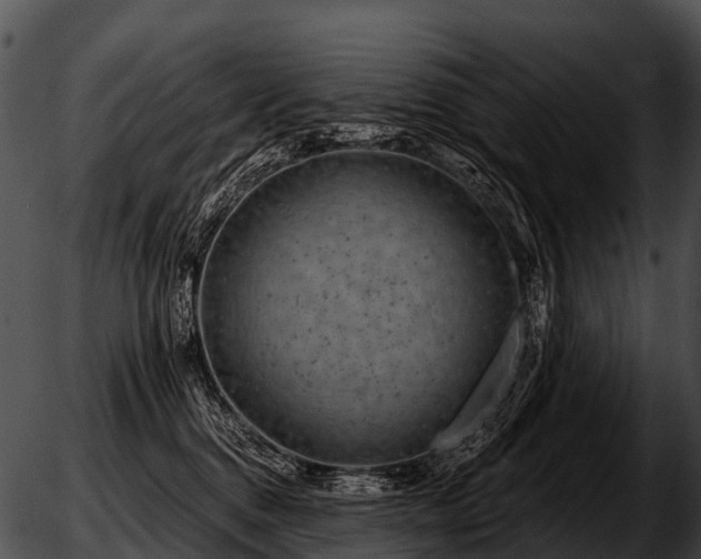 X0000051860376200507012346