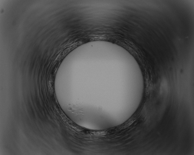 X0000051860377200507012346