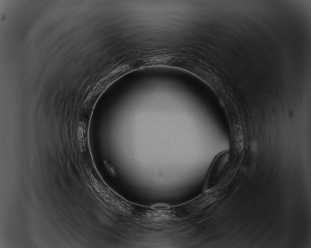 X0000051860378200507012346