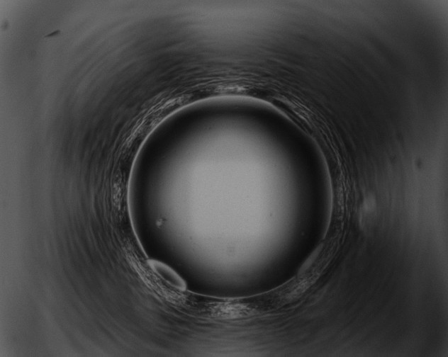 X0000051860379200507012346