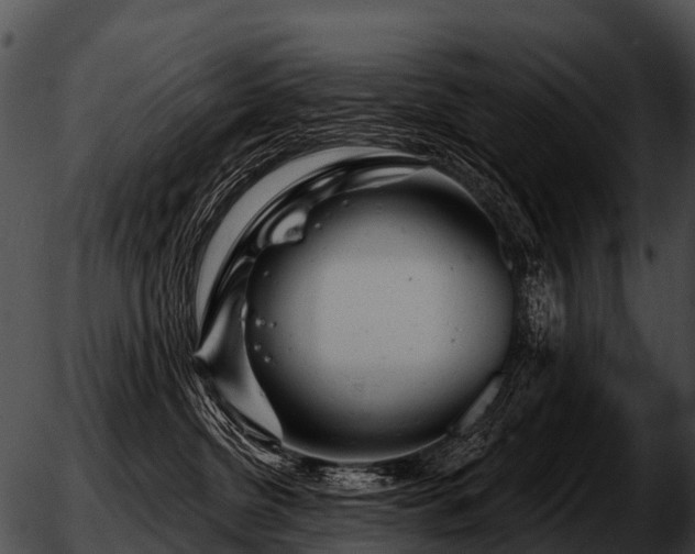 X0000051860380200507012346