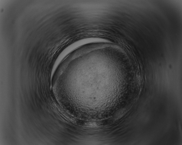 X0000051860381200507012347