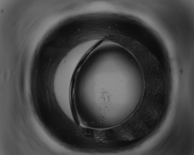 X0000051860382200507012347