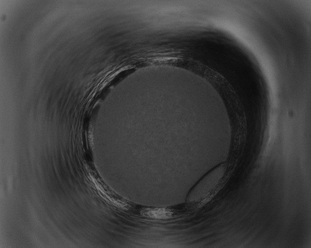 X0000051860383200507012347