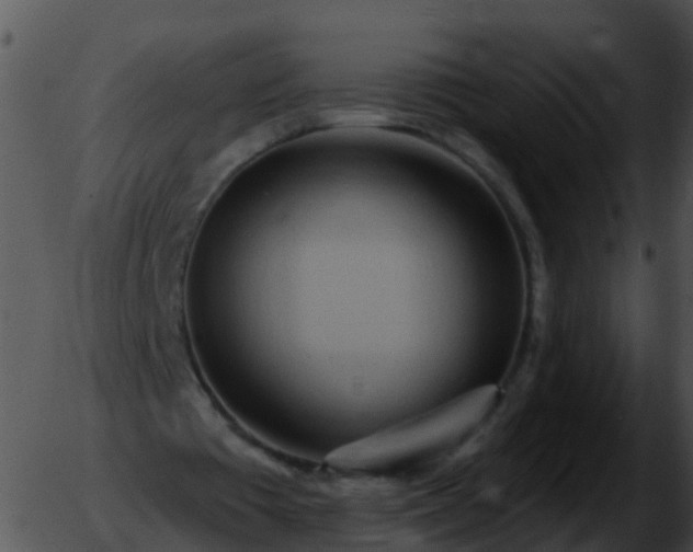 X0000051860385200507012346