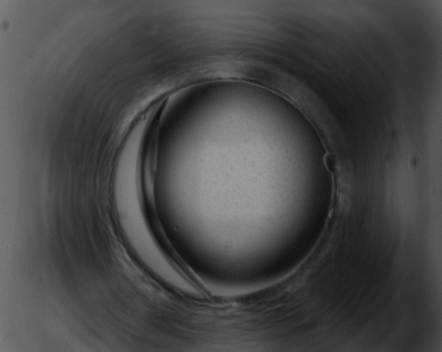 X0000051860386200507012346