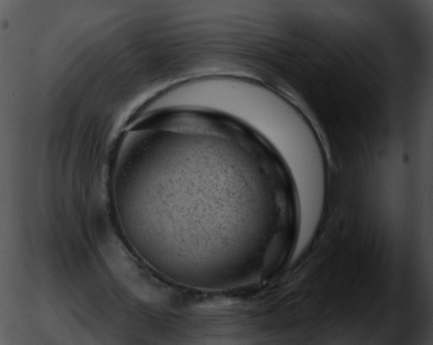 X0000051860387200507012346