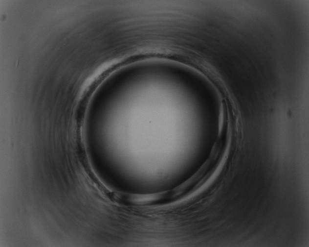 X0000051860388200507012346