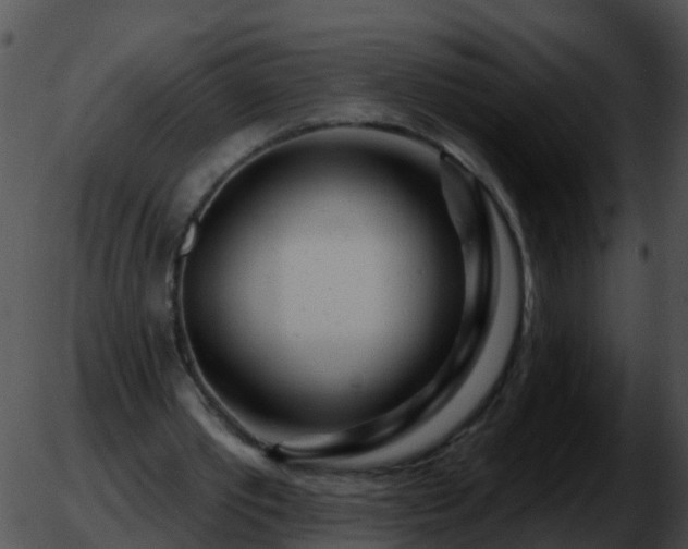 X0000051860389200507012346