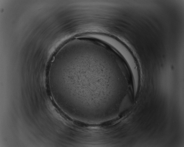 X0000051860391200507012346