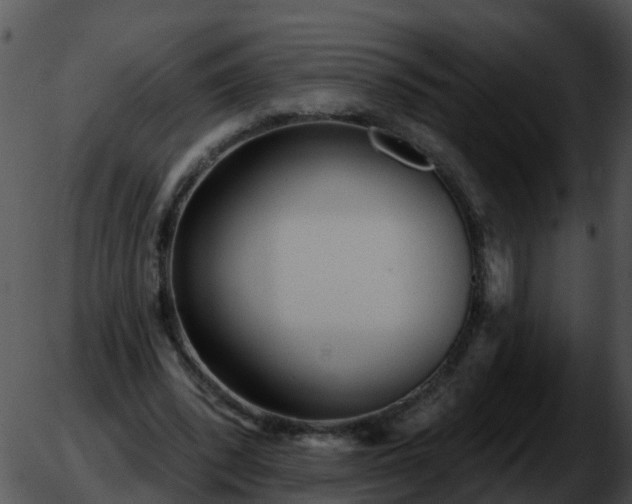 X0000051860392200507012346