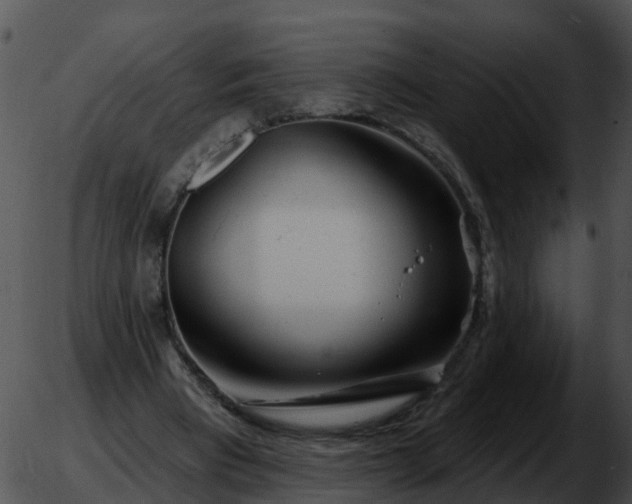 X0000051860393200507012346