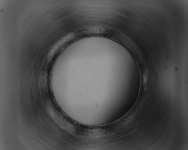 X0000051860396200507012346