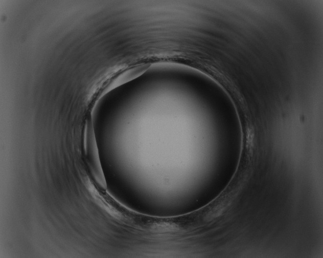 X0000051860397200507012346