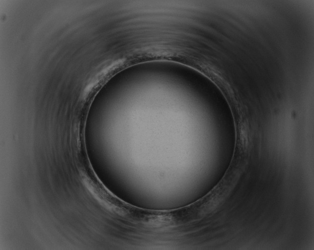 X0000051860398200507012346