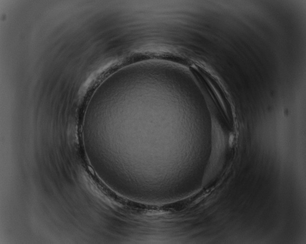 X0000051860399200507012346