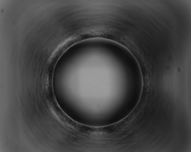 X0000051860400200507012346