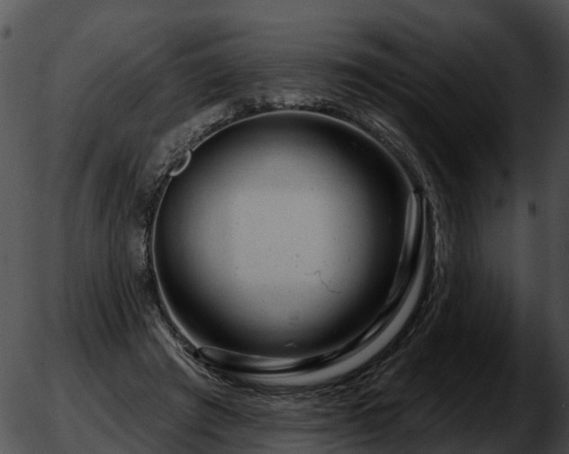 X0000051860401200507012346