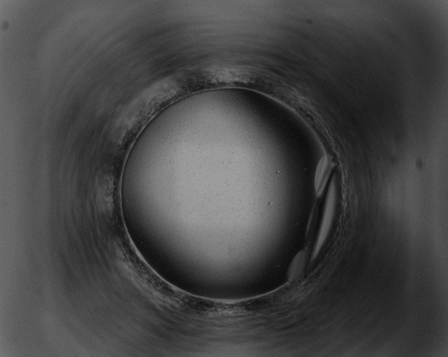 X0000051860402200507012345