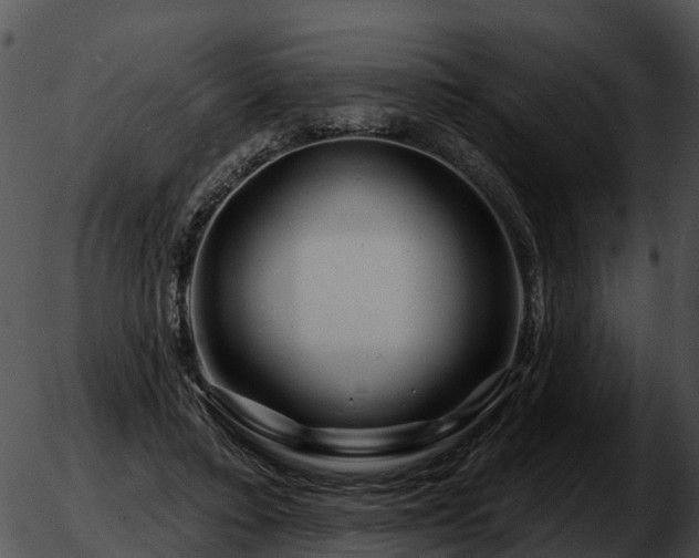 X0000051860403200507012345