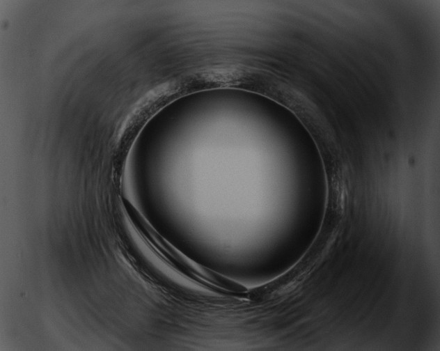 X0000051860404200507012345