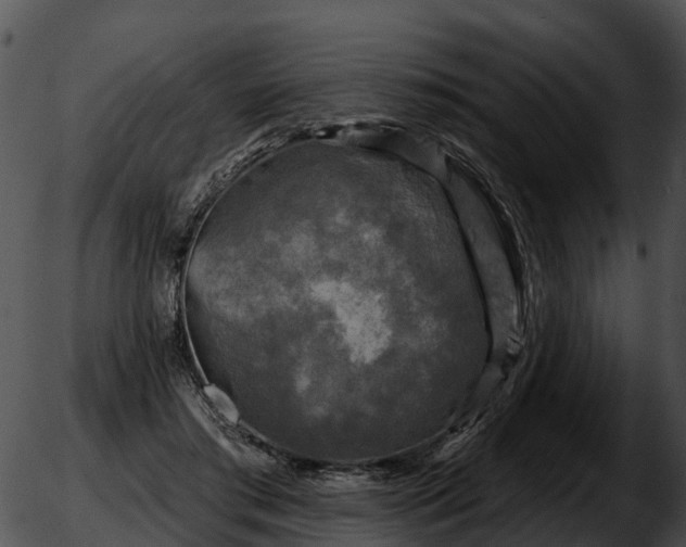 X0000051860405200507012345