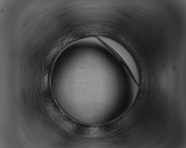 X0000051860406200507012345