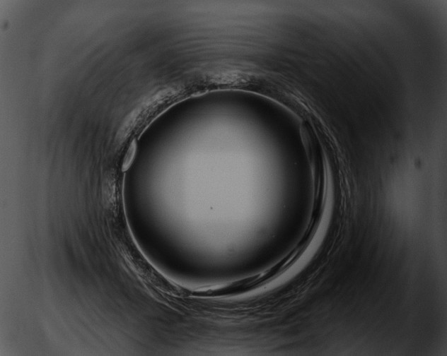 X0000051860407200507012345