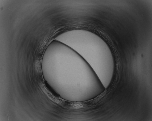 X0000051860409200507012345