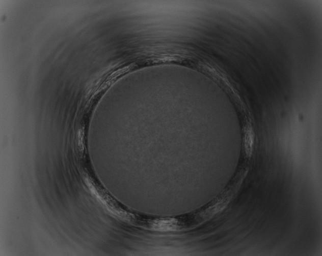 X0000051860410200507012345