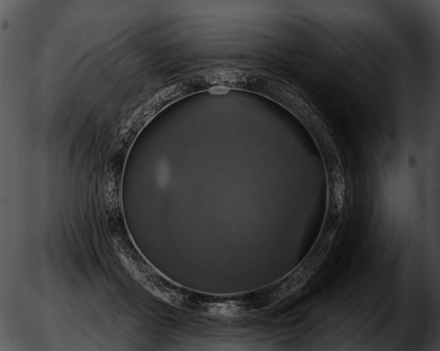 X0000051860411200507012345