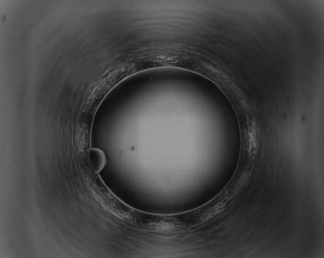 X0000051860412200507012345