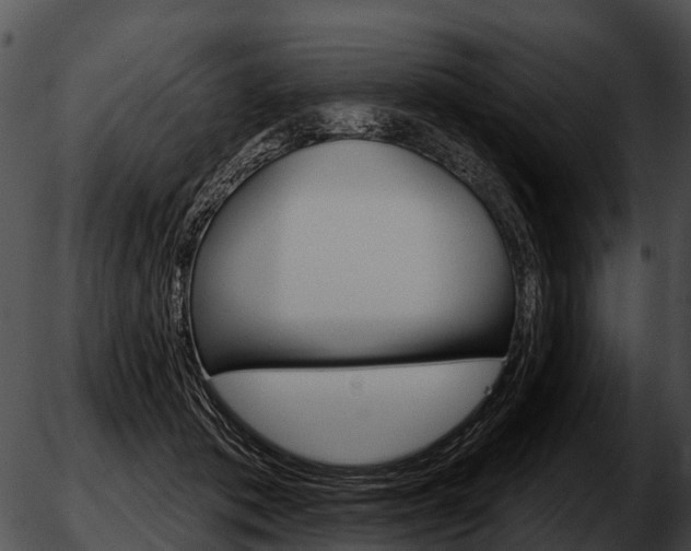 X0000051860413200507012345