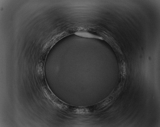 X0000051860415200507012345