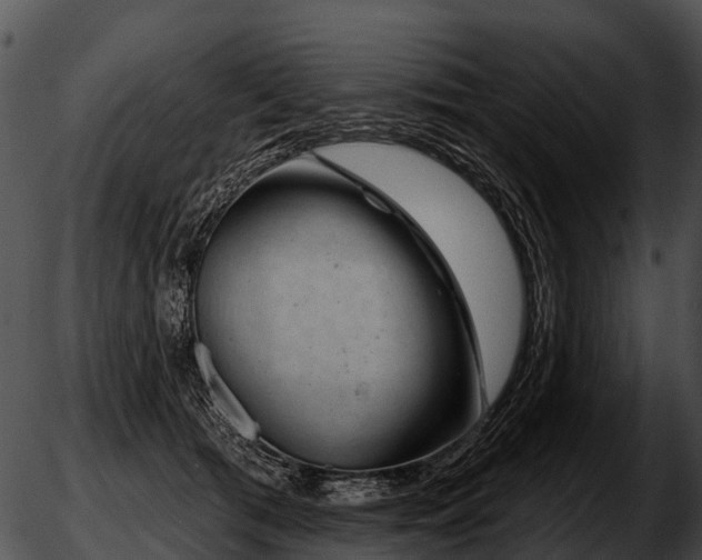 X0000051860417200507012345