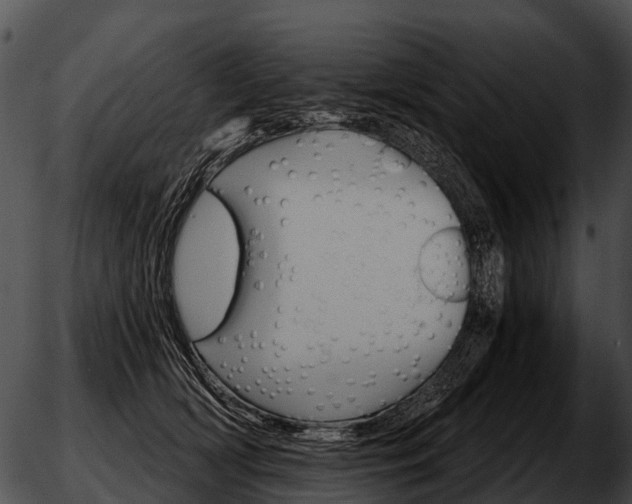 X0000051860418200507012345