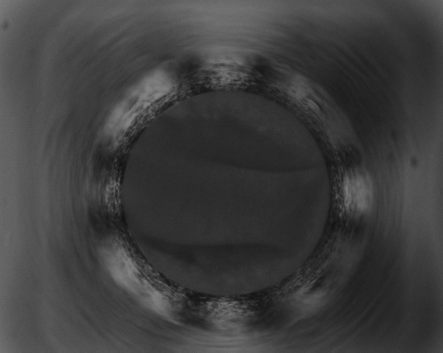 X0000051860419200507012345