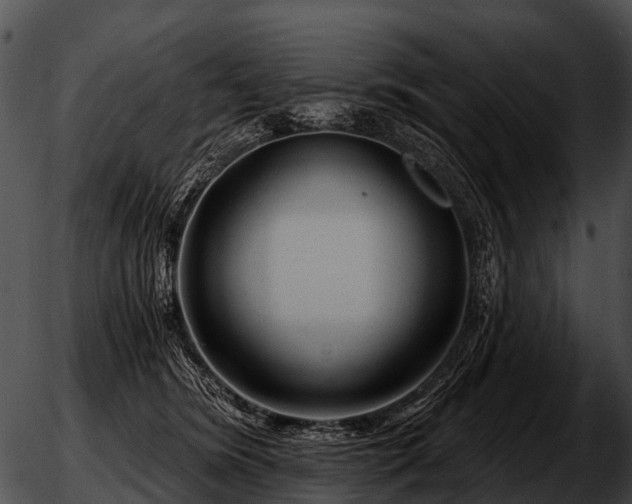 X0000051860420200507012345