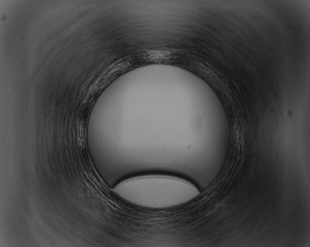 X0000051860421200507012345