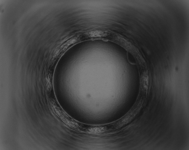 X0000051860422200507012345