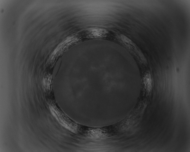 X0000051860423200507012345